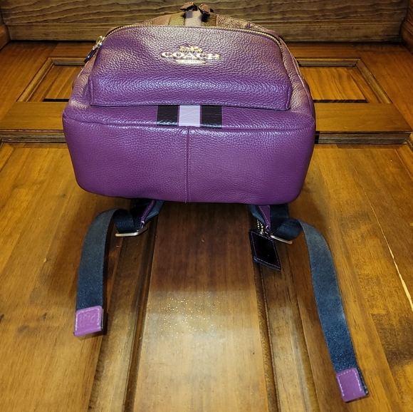 Coach Jes Berry Multi Pebbled Leather Small Backpack Varsity Stripe F89167 - Picture 13 of 16